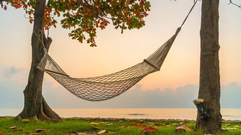 Leere Hängematte zwischen zwei Bäumen am Meer, umgeben von weichem Morgenlicht und herabgefallenen Blättern. Im Hintergrund ruhiger Himmel über der stillen Wasserfläche.