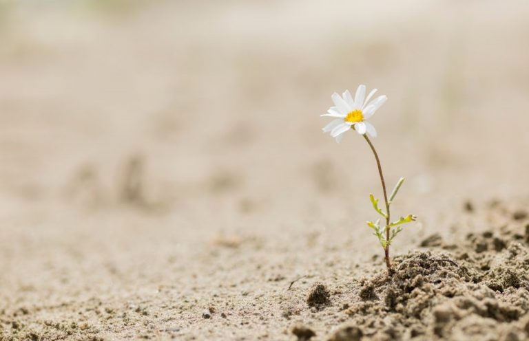 Resilienz, Wiederstandsfähigkeit