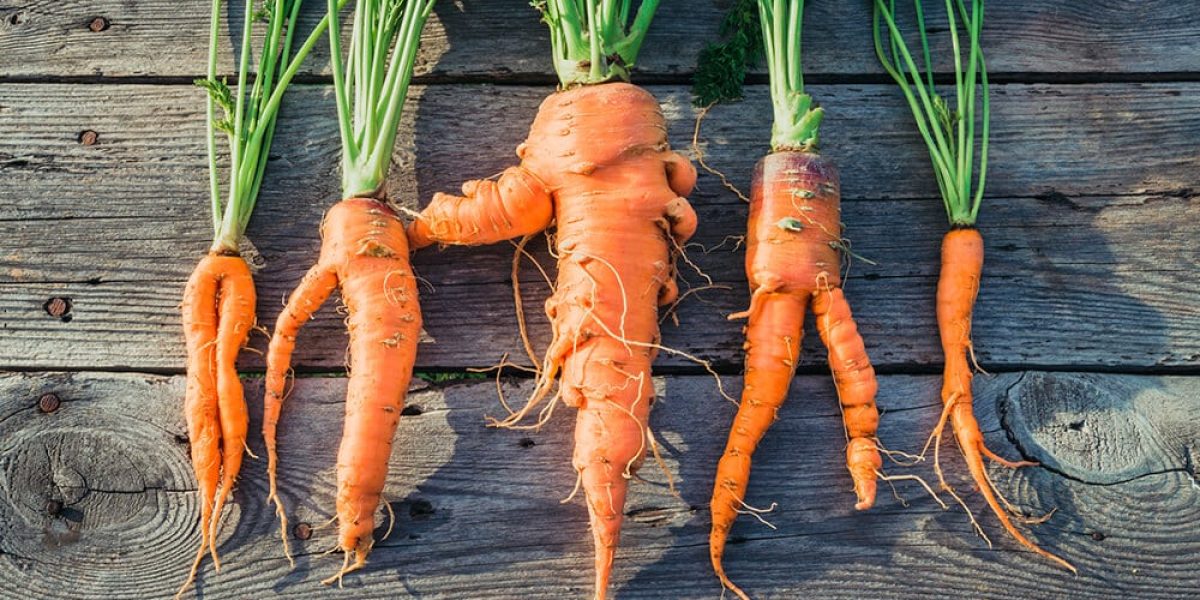 uploads202206perfektionismus-umgang-tipps